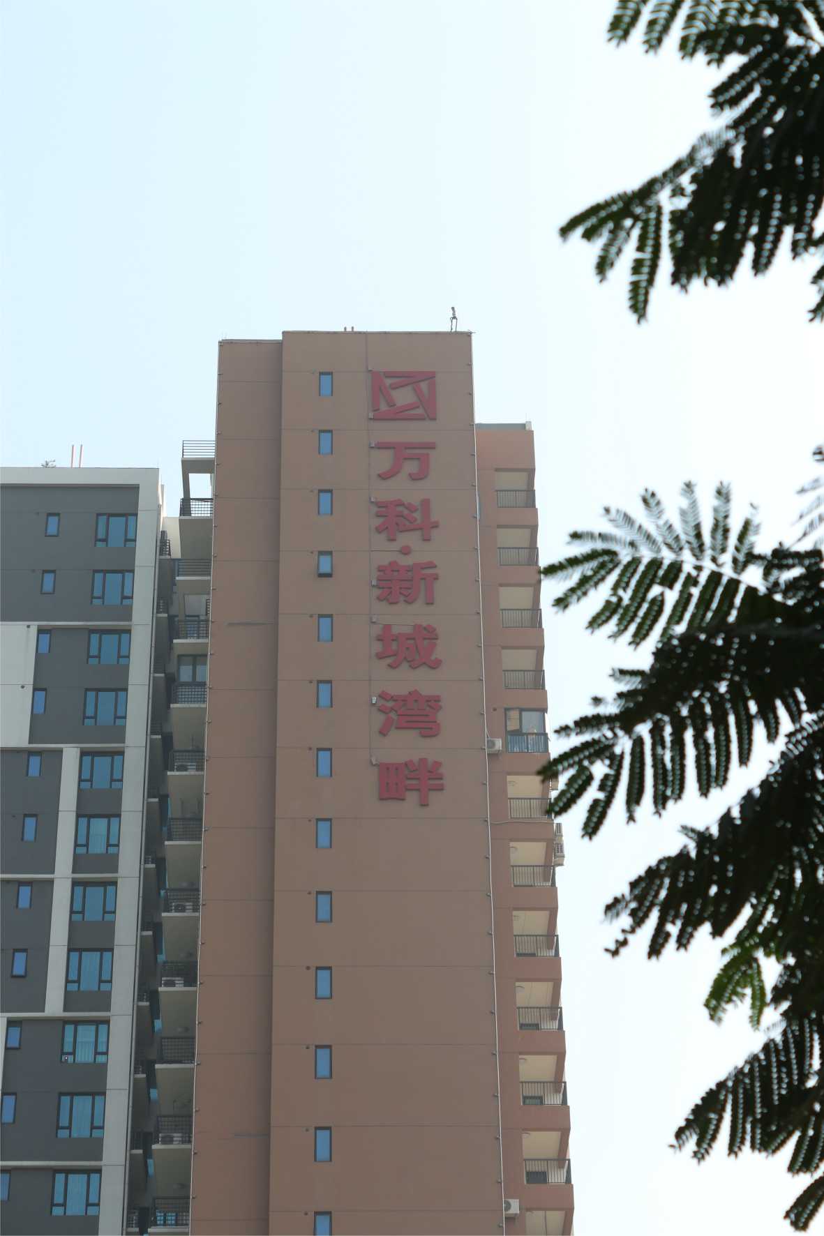 樓體標(biāo)識(shí)發(fā)光字 樓體標(biāo)識(shí)發(fā)光字